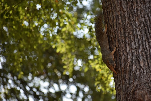 队未能更进 队未能更进