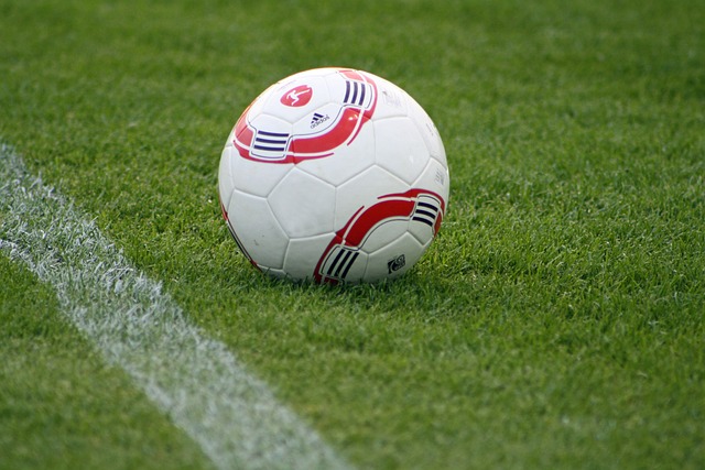 成巨大的支 成巨大的支