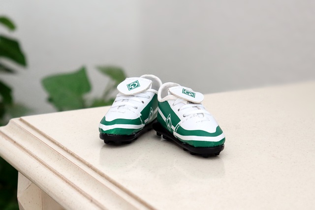 球员的转会 球员的转会