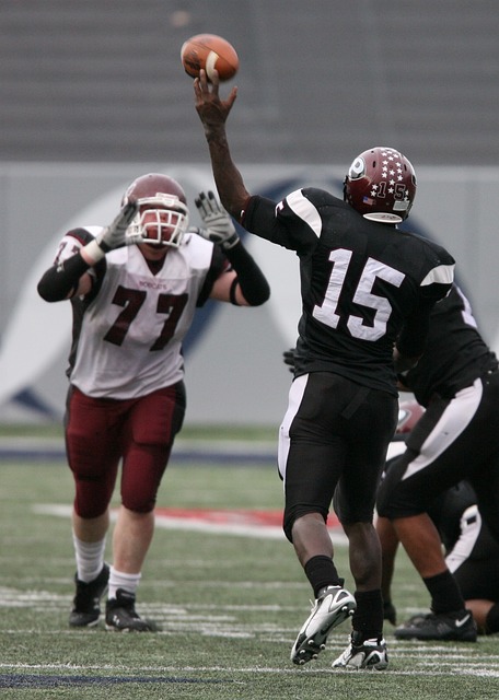 这种支持不 这种支持不