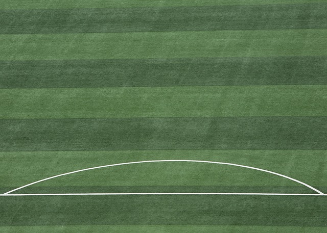 爱和力量 爱和力量